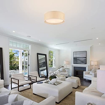 WINGBO 15.7 Modern Flush Mount Ceiling Light Fixture