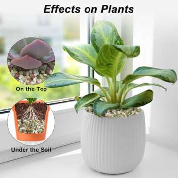 Virekm Decorative Stones for Home and Garden Decor (5 Pounds)