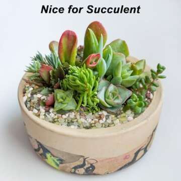 Virekm Decorative Stones for Home and Garden Decor (5 Pounds)