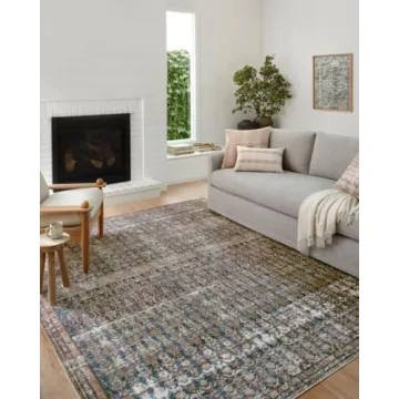 Loloi Amber Lewis Billie Area Rug for Home Decoration