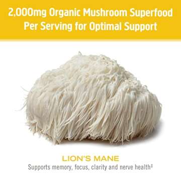 OM MUSHROOM SUPERFOOD Lion's Mane Organic Mushroom Powder, Improves Memory, Focus, Clarity, Nerve Health, and Mood Support, 7.05 oz, 100 Servings