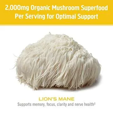 OM MUSHROOM SUPERFOOD Lion's Mane Organic Mushroom Powder, Improves Memory, Focus, Clarity, Nerve Health, and Mood Support, 7.05 oz, 100 Servings