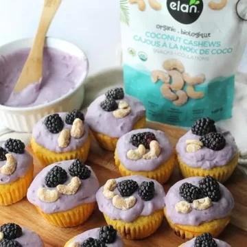 Elan Organic Coconut Cashews Vegan Gluten-Free Snack