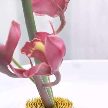 Flower Frog Stainless Steel Pin Frog Flower Arrangement Holder(2 Inch (50mm))