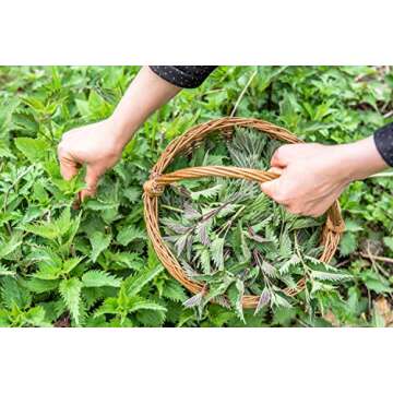 Nettle Tea - 8Oz (REAL WILD HARVEST) | 100% USDA Certified ORGANIC | Loose Leaf (Urtica Dioica aka Stinging Nettle) Cut & Sifted
