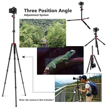 NEEWER 75" Tripod with Rotatable Center Column for Photography
