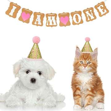 Pet Birthday Hat 1-Year-Old Banner Birthday Party Decorations Funny Costume for Small Pets Dogs Cats (Pink)