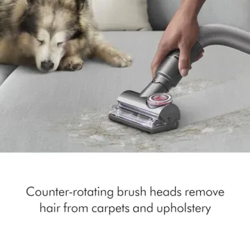 Powerful Dyson Ball Animal 2 Total Clean Vacuum for Homes
