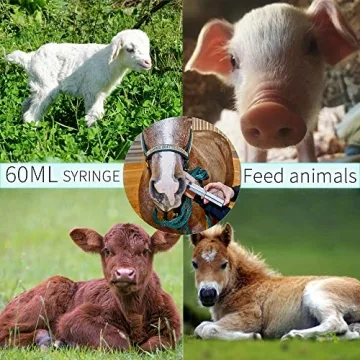 10 Pack 60ml Plastic Syringe for Labs and Pet Care