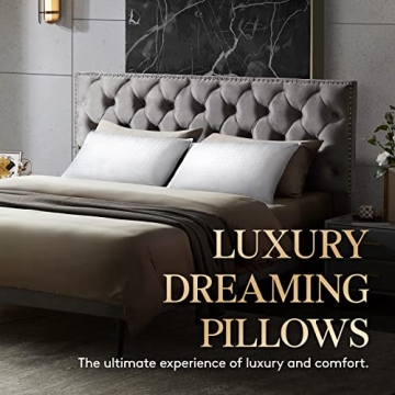 Lifewit Queen Size Cooling Pillows Set of 2 for All Sleepers