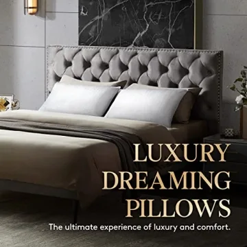 Lifewit Queen Size Cooling Pillows Set of 2 for All Sleepers