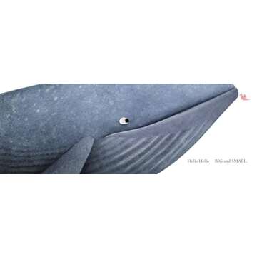 Hello Hello Opposites Book by Brendan Wenzel – Explore Contrasts!