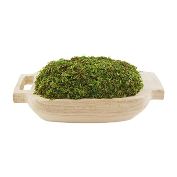 Mud Pie Preserved Moss Handle Tray - Rustic Home Decor