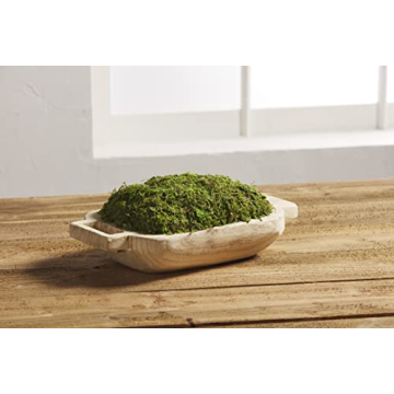 Mud Pie Preserved Moss Handle Tray - Rustic Home Decor