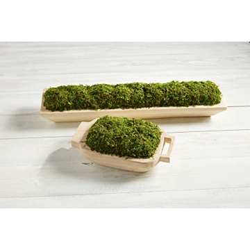 Mud Pie Preserved Moss Handle Tray - Rustic Home Decor