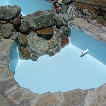 Pond Armor Non-Toxic Pond Shield Epoxy Paint for DIY Projects