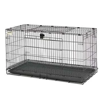 MidWest Homes for Pets Wabbitat Folding Rabbit Cage