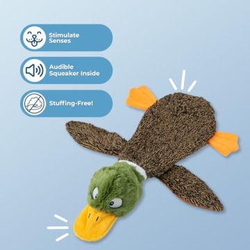 Durable Stuffless Squeaky Dog Toy for All Breeds