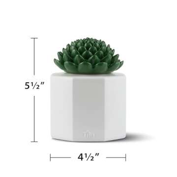 TIKI Brand 3-Pack Table Torch Glass Succulent White - Outdoor Table Top Lighting for Patio Lawn Backyard, 5.5 in, 1120165