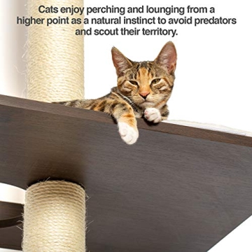 Stylish Cat Climbing Tower for Happy Felines