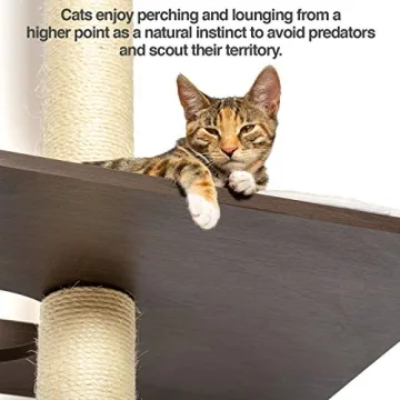 Stylish Cat Climbing Tower for Happy Felines