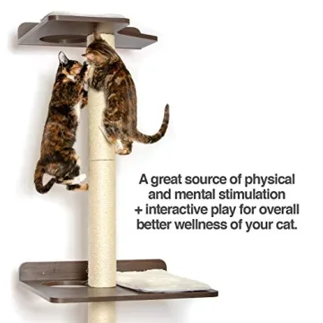 Stylish Cat Climbing Tower for Happy Felines