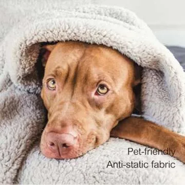 Ultra Soft Fleece Sherpa Blanket King Size, Cozy & Stylish