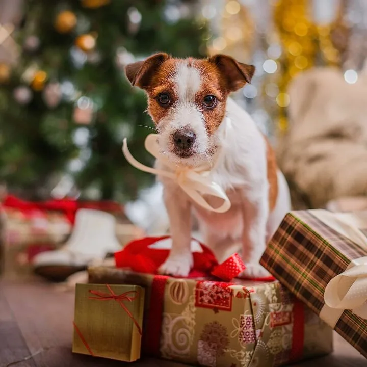 10th Wedding Anniversary Ceramic Christmas Ornament