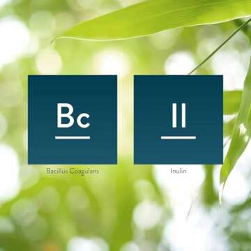 Nature's Sunshine Bacillus Coagulans Probiotics | 90 Capsules