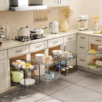 ROOMTEC Pull Out Cabinet Organizer, Kitchen Cabinet Organizer and Storage 2-Tier Cabinet Pull Out Sh...