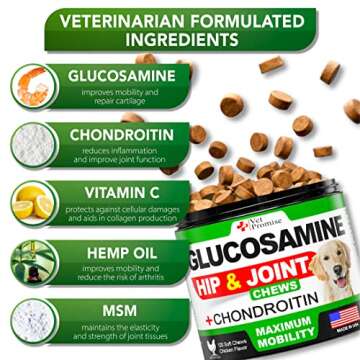 Glucosamine for Dogs - Hip and Joint Supplement for Dogs - Glucosamine Chondroitin - Joint Pain Relief Pills - MSM - Hemp Oil - Advanced Health Support Supplement - 120 Mobility Chews - Made in USA