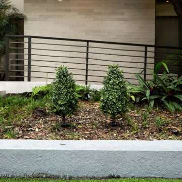 Nearly Natural 2.5ft. UV Resistant Artificial Boxwood Plant with Integrated Ground Stake (Indoor/Outdoor) - Set of 2