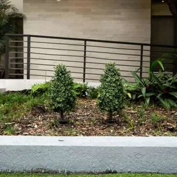 Nearly Natural 2.5ft. UV Resistant Artificial Boxwood Plant with Integrated Ground Stake (Indoor/Outdoor) - Set of 2