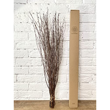 ECOVENIK 25 pcs Birch Twigs for Crafts and Decor