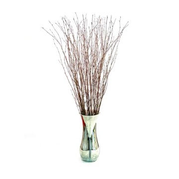 ECOVENIK 25 pcs Birch Twigs for Crafts and Decor