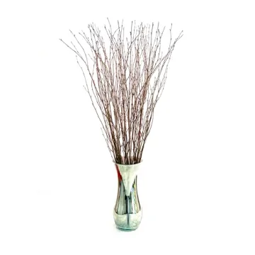 ECOVENIK 25 pcs Birch Twigs for Crafts and Decor