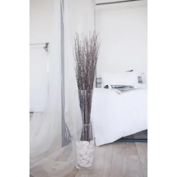 ECOVENIK 25 pcs Birch Twigs for Crafts and Decor