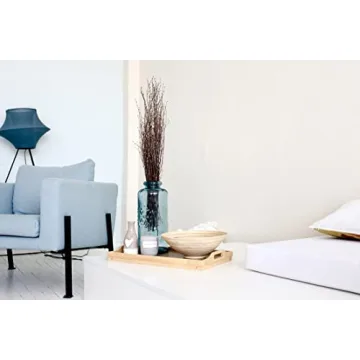 ECOVENIK 25 pcs Birch Twigs for Crafts and Decor