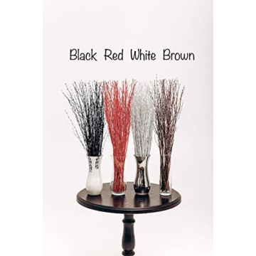 ECOVENIK 25 pcs Birch Twigs for Crafts and Decor