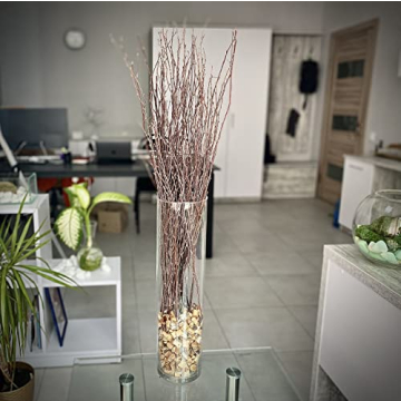 ECOVENIK 25 pcs Birch Twigs for Crafts and Decor