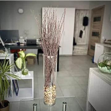 ECOVENIK 25 pcs Birch Twigs for Crafts and Decor