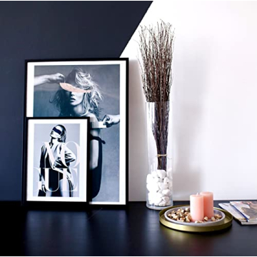 ECOVENIK 25 pcs Birch Twigs for Crafts and Decor