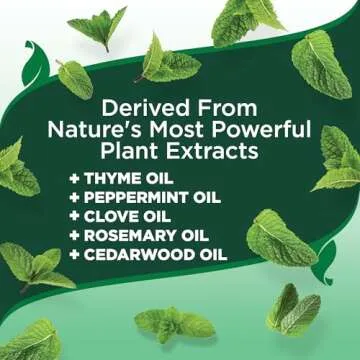 Vet’s Best Flea and Tick Advanced Strength Dog Shampoo - Dog Flea and Tick Treatment - Plant-Based Formula - Certified Natural Oils - 12 oz