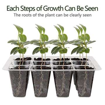 Seed Starter Tray Kit Humidity Adjustable Plant Seedling Trays with Dome and Base (Green, 12)