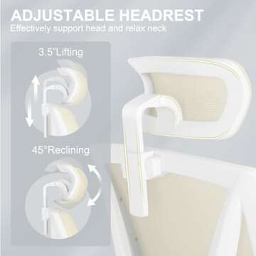 Misolant Ergonomic Office Chair with Adjustable Lumbar Support