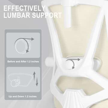 Misolant Ergonomic Office Chair with Adjustable Lumbar Support