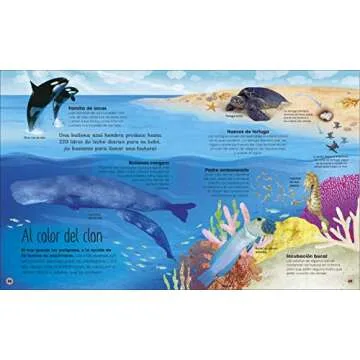 La vida secreta de los océanos - Un viaje asombroso