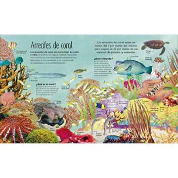 La vida secreta de los océanos - Un viaje asombroso