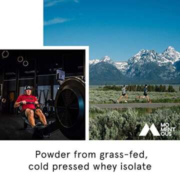 AbsoluteZero Grass-Fed Whey Protein Isolate, Gluten-Free, NSF Certified, All Day Essential Use Protein Powder Men and Women-Live Momentous (Chocolate) 24 count