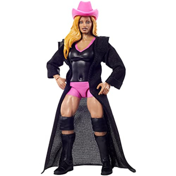 WWE Trish Stratus Elite Collectible Action Figure for Fans